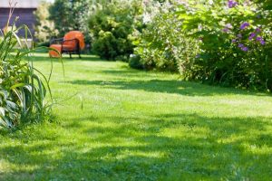 travaux jardin et paysage Irissarry